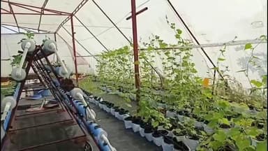 देवेंद्रनगर: जीरो मॉडल हाईस्कूल देवेंद्रनगर के स्टाफ और बच्चों ने गायत्री हाइड्रोपोनिक आर्गेनिक डेयरी फार्म का किया दौरा