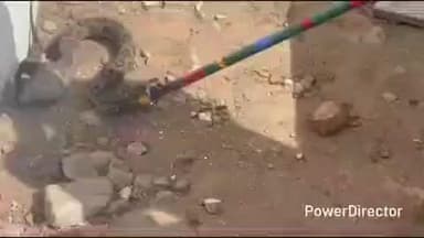 नैनपुर: ग्राम निवारी के नवनिर्मित मैरिज भवन में निकला रसल वाइपर सर्प, सर्पमित्र ने किया रेस्क्यू