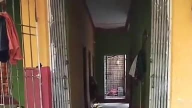 বসিরহাট ২: বাড়িতে কেউ না থাকার সুযোগ নিয়ে দুঃসাহসের চুরির ঘটনা ঘটলো বাগুয়ডাঙ্গা এলাকায়