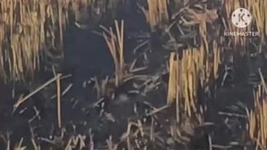 गोहाना: बनवासा गांव में फसल अवशेषों में आग लगने पर किसान पर जुर्माना लगाया गया