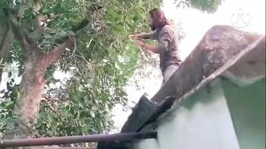 शाहनगर: प्रधान आरक्षक के घर दिखा धामन सर्प, सर्पमित्र ने सुरक्षित रेस्क्यू किया