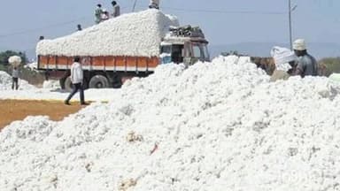 घाटंजी: पारवा येथील उपबाजार बंद असल्यामुळे शेतकऱ्यांना त्रास