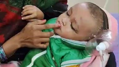 पडरौना: जटहाँ में मधुमक्खियों के हमले से दहशत, खेत में गए मासूम समेत चार लोग बुरी तरह घायल, जिला अस्पताल में भर्ती