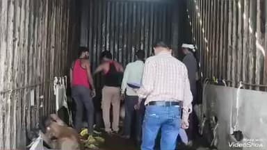 मालपुरा: झाड़ली से उनियारा खुर्द सड़क मार्ग पर लाम्बा पुलिस ने गोवंश से भरे कंटेनर को किया ज़ब्त, दो जनों को किया गिरफ्तार