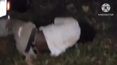 कोलेबिरा: ऐडेगा तालाब के पास मोटरसाइकिल पेड़ से टकराई, जलडेगा कोलोमडेगा निवासी एक व्यक्ति घायल