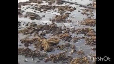 ग्यारसपुर: गौशाला के तालाब का पानी अवैध रूप से खेतों में उपयोग करने पर प्रशासन ने की कार्रवाई