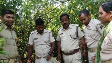 ବୌଦ୍ଧ ସଦର: ମହାକୁରମୁଣ୍ଡା ଗ୍ରାମର ଜଙ୍ଗଲ ଭିତରୁ ୪୦୦କେଜି ମହୁଲ ପୋଚ ସହିତ ୩୫ଲିଟର ମଦ ଜବତ କରି ନଷ୍ଟ