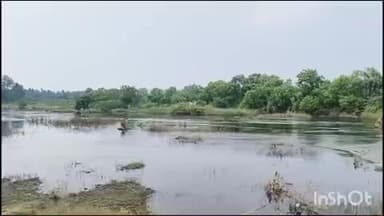 அரக்கோணம்: அரக்கோணம் அடுத்த பாளையக்கார கண்டிகை பகுதியில் கல்லாற்றில் அடித்து செல்லப்பட்ட ரமேஷ் என்பவரை தேடும் பணியில் NDRF வீரர்கள் ஈடுபட்டனர்