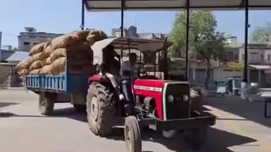 સિધ્ધપુર: પાટણ જિલ્લાના સમી વારાહી અને સિદ્ધપુર ખાતે ખરીદ કેન્દ્રો શરૂ કરવામાં આવ્યા