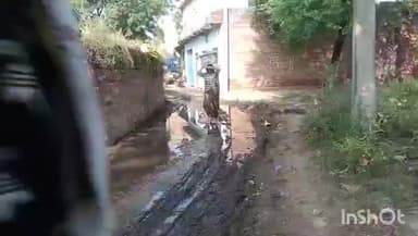 बसेड़ी: जारगा में गंदगी और जलभराव से परेशान ग्रामीण, पंचायत का नहीं है कोई ध्यान