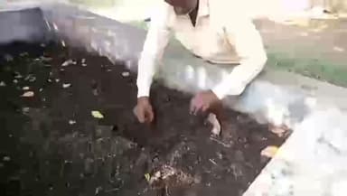 नरवर: 12 साल पहले शुरू किया केंचुआ खाद बनाना, अब हर साल 5 लाख तक के केंचुए बेच रहे