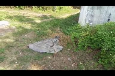 लाखांदूर: विरली खुर्द मध्ये संस्यास्पद मृत्यूने खडबड ; हत्या की नैसर्गिक मृत्यू? तपासात उघड होणार सत्य.