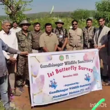 भानपुरा: गांधीसागर अभयारण्य में पहला तितली सर्वेक्षण हुआ सम्पन्न