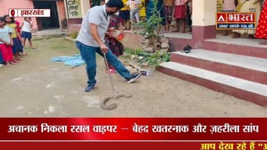 #Sahibganj: अचानक स्कूल में निकला रसल वाइपर — बेहद खतरनाक और ज़हरीला सांप, किया रेस्क्यू... देखें।।