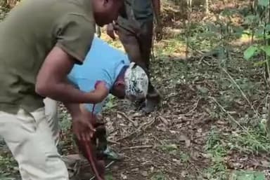 ಸೂಪಾ: ನಗರಿ ಗ್ರಾಮದ ಹೊಲದಲ್ಲಿ ಕಾಣಿಸಿಕೊಂಡ ನಾಗರಹಾವು, ಅರಣ್ಯ ಅಧಿಕಾರಿಗಳಿಂದ ರಕ್ಷಣೆ