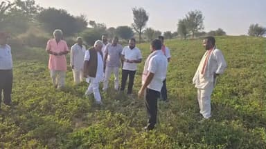 श्रीडूंगरगढ़: श्रीडूंगरगढ़ में गिरदावरी घोटाले के चलते विधायक ताराचंद ने खेतों में पहुंचकर जमीनी हालातों का किया निरीक्षण