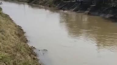 टिमरनी: नहर में अधिक पानी छोड़े जाने से खेत जलमग्न, किसानों की बोनी हुई प्रभावित