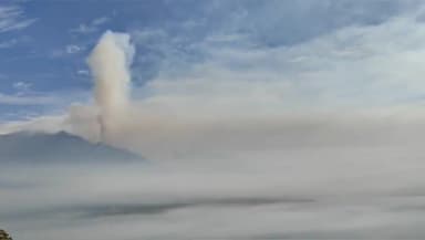 डुंडा: धनारी पट्टी के इंद्रकील पर्वत के जंगलों में लगी भीषण आग, लाखों की वन संपदा को हुआ भारी नुकसान