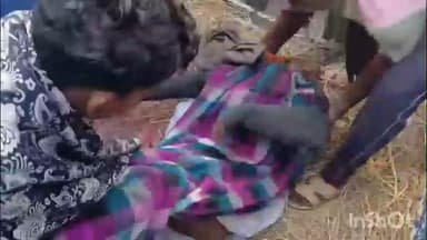 पीरो: देवचंदा बाल के समीप ट्रक और पिकअप की टक्कर में एक वृद्ध की हुई मौत