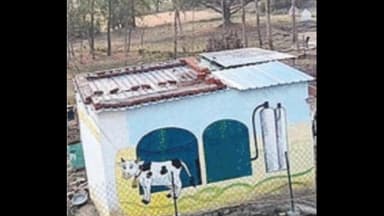 मदनपुर: भगन बिगहा में बायोगैस क्रांति: 20 घरों की रसोई हुई धुआँ मुक्त