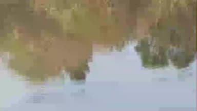 शिरोळ: दूधगंगा नदीत पोहण्यासाठी गेलेल्या ६१ वर्षीय वृद्धावर मगरीने हल्ला करून केलेल्या जीवघेण्या प्रसंगाने दत्तवाड परिसरात खळबळ