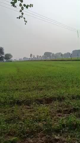 टीकमगढ़ जिले की जतारा तहसील के ग्राम पिपरट में नहीं आ रही लाइट किसान हो रहा है परेशान नहीं लग पा रहा फसलों को पानी