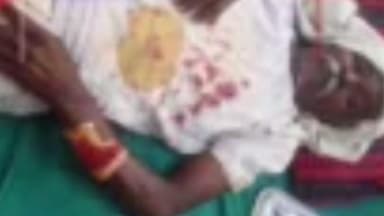 सावली: अस्वलाच्या हल्यात दोन शेतकरी गंभीर जखमी मालपिरणजी येथील घटना