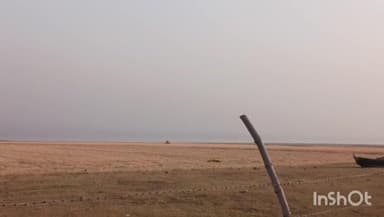 जवाली: जवाली के साथ लगते पौंग बेटलेंड क्षेत्र में बिजाई का कार्य शुरू, विभाग शांत