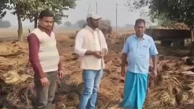 दिघलबैंक: जागीर दहीभात में आग से धान का ढेर जलकर राख, जनप्रतिनिधियों ने किया निरीक्षण