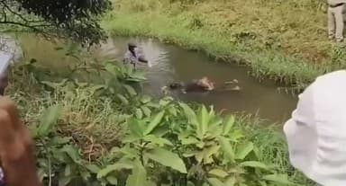 ప్రత్తిపాడు :కిర్లంపూడి కాలువలో గుర్తు తెలియని మృతదేహం, కేసు నమోదు చేసి దర్యాప్తు చేస్తున్న పోలీసులు.