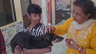 पिंड्रा: वाराणसी के हरहुआ में अनोखा अनाथालय, कुत्तों के लिए श्री काल भैरव डॉग अनाथालय बना मिसाल