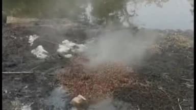 मोहाडी: मांडेसर येथे हातभट्टीच्या दारू अड्ड्यावर मोहाडी पोलिसांची धाड, १६ हजार रुपयांचा मुद्देमाल जप्त