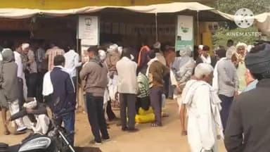 चौथ का बरवाड़ा: डिडायच गांव में यूरिया खाद के 780 बैग पहुंचे, किसानों की भारी भीड़ ने लंबी कतारों में खाद लिया