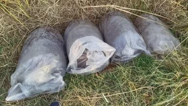 तुमसर: देव्हाडी येथे हातभट्टीच्या दारू अड्ड्यावर तुमसर पोलिसांची धाड, ३६ हजार रुपयांचा मुद्देमाल जप्त