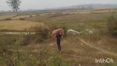 ଚମ୍ପୁଆ: ଚମ୍ପୁଆ ଉପଖଣ୍ଡ ରେ କେlହଲା ପାଗ ସାଂଗକୁ ବର୍ଷା ଆଶଂକା ଖଳା ବିଲରେ ପଡିଛି ଧାନ ଚାଷୀ ଚିନ୍ତା ରେ