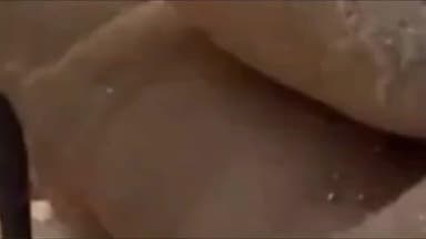 बुलंदशहर: बुलंदशहर में मक्का खरीद पर किसानों ने किया प्रदर्शन, मंडी अफसरों पर मनमानी का आरोप, भाजपा नेता भी पहुंचे