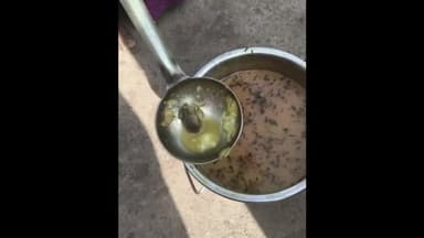 ग्वालियर गिर्द: मिड डे मील की गुणवत्ता पर सवाल, गोकुलपुर के प्राथमिक विद्यालय में सब्जी में निकला मेंढक