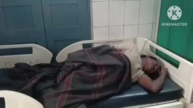 साहिबगंज: सकरीगली पठान टोली में मधुमक्खी के हमले से एक व्यक्ति गंभीर रूप से घायल, सदर अस्पताल में भर्ती