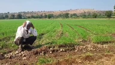 खरगौन: रायबिड़पुरा में नहर से रिसाव, किसानों की फसल बर्बाद, 7 साल से समाधान का इंतजार