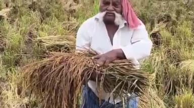 చేతికొచ్చిన పంట నీటి పాలు అయ్యిందంటూ చెయ్యేరులో ముసలయ్య అనే రైతు ఆవేదన
