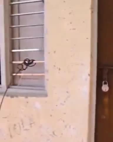 जगाधरी: साढौरा में खेल स्टेडियम में खिलाड़ियों को मूलभूत सुविधाएं नहीं मिल रही हैं