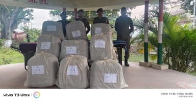 कुरसाकांटा: कुर्साकांटा -कुआड़ी पुलिस ने सूचना के आधार पर 270 किलोग्राम गांजा किया ज़ब्त