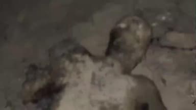 सहारनपुर: गांव पजराना में संदिग्ध परिस्थितियों में झोपड़ी में लगी आग, हादसे में विकलांग किसान की जलकर हुई दर्दनाक मौत