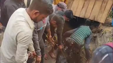 जलेसर: मो. माधवनगर के नाले में फंसे गोवंश को सुरक्षित बाहर निकाला, जलेसर नगरपालिका और बजरंग दल की टीम ने किया रेस्क्यू