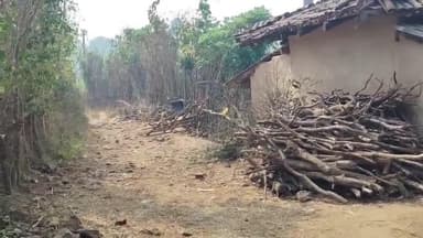 बरवाडीह: बंधुआ ग्राम के ग्रामीण अपनी समस्याओं पर वर्षों से आंसू बाहर हैं मगर इन आंसुओं को कोई पूछने वाला नहीं है #jansamasya