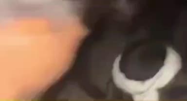 भिंड नगर: दिलीप सिंह के पुरा में घर के बाहर पेशाब करने के विवाद पर आरोपी युवकों ने गोली मारकर युवक की हत्या, पुलिस ने दर्ज FIR