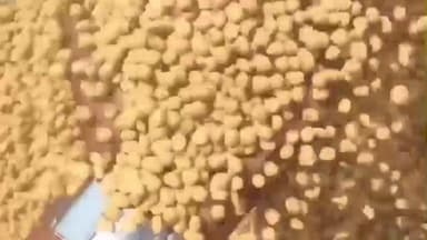 रतलाम: भावांतर योजना 2025 के तहत सोयाबीन का मॉडल रेट ₹4239 जारी