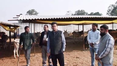 डुमरियागंज: जिलाधिकारी ने गौशाला सेमिनार का निरीक्षण किया, अधिशासी अधिकारी एवं पशु चिकित्सा अधिकारी को नोटिस देने का निर्देश