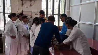 मोहनिया: बरैथा में छत पर खेलते समय दो वर्षीय मासूम गिरकर घायल, सर फटने पर परिजनों ने अस्पताल पहुंचाया, इलाज जारी