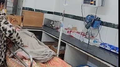 पाली: नया बस स्टैंड के निकट लोडिंग टेंपो ने मोटरसाइकिल को मारी टक्कर, दो लोग घायल, बांगड़ हॉस्पिटल में भर्ती